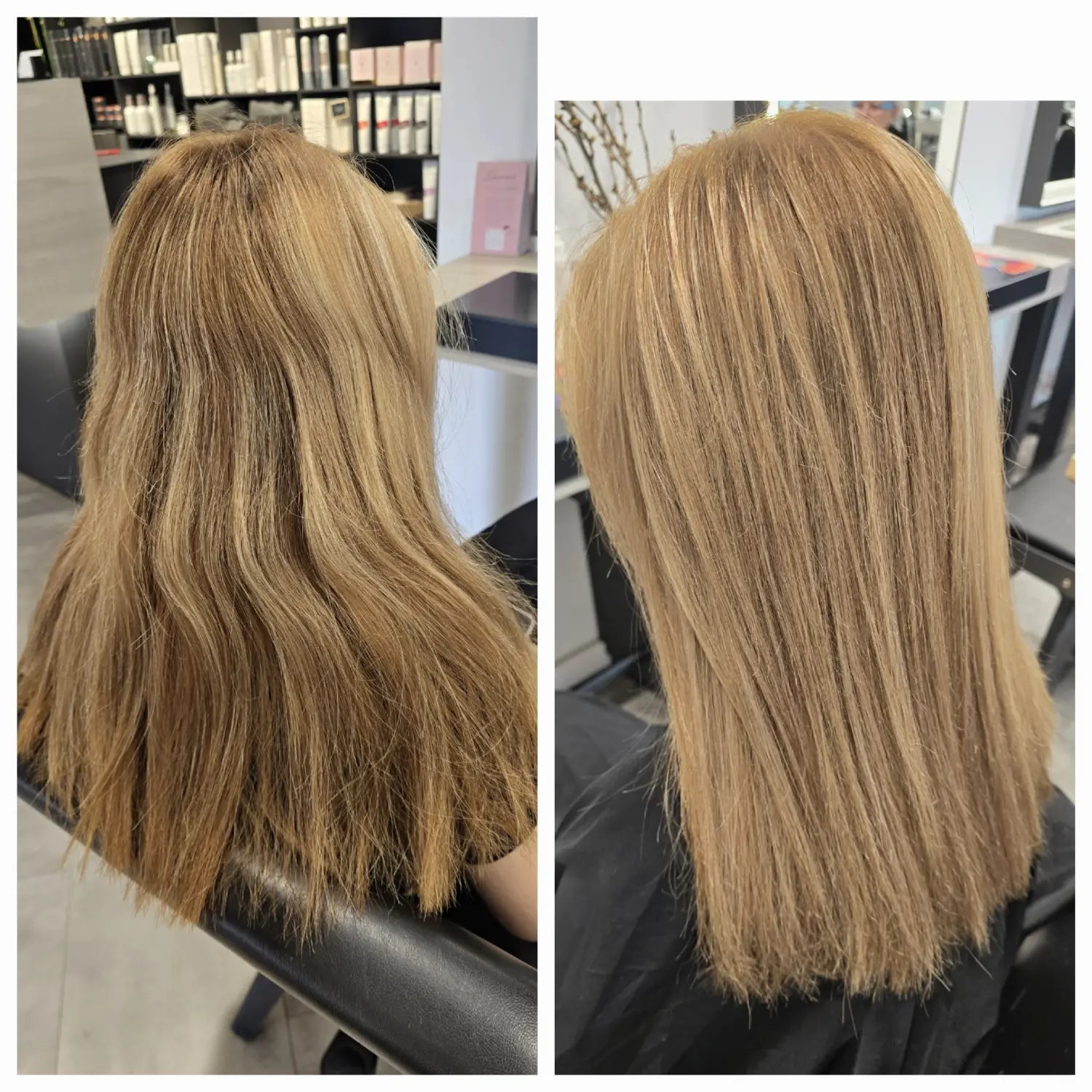 Haarschnitte von Evas Lockenbude