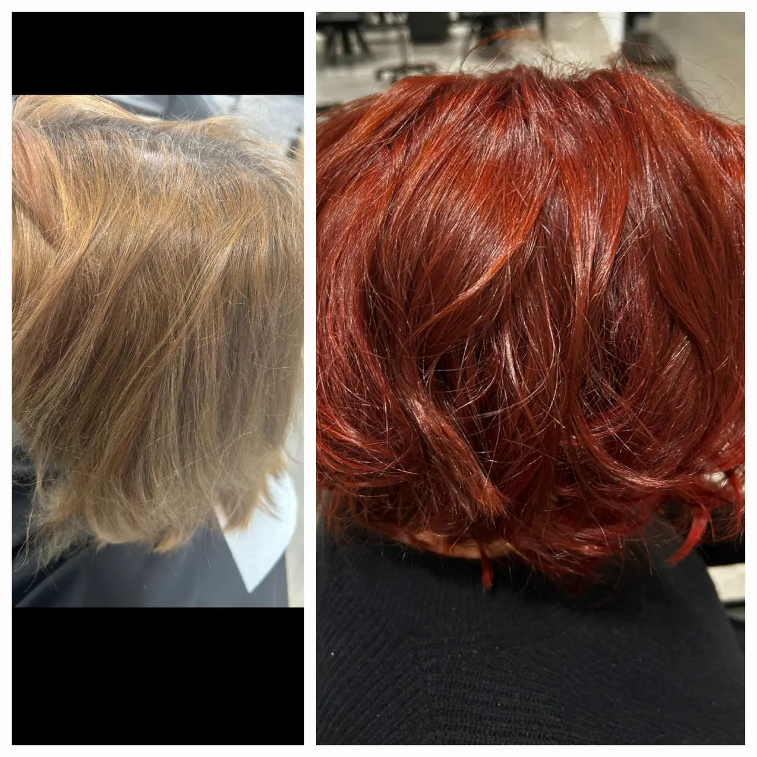 Haarschnitte von Evas Lockenbude