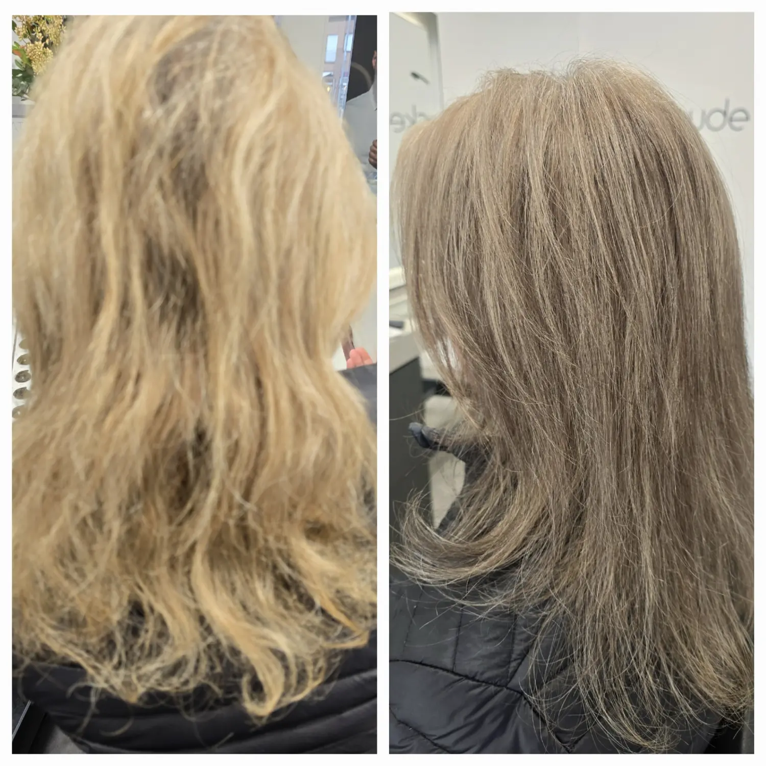 Haarschnitte von Evas Lockenbude