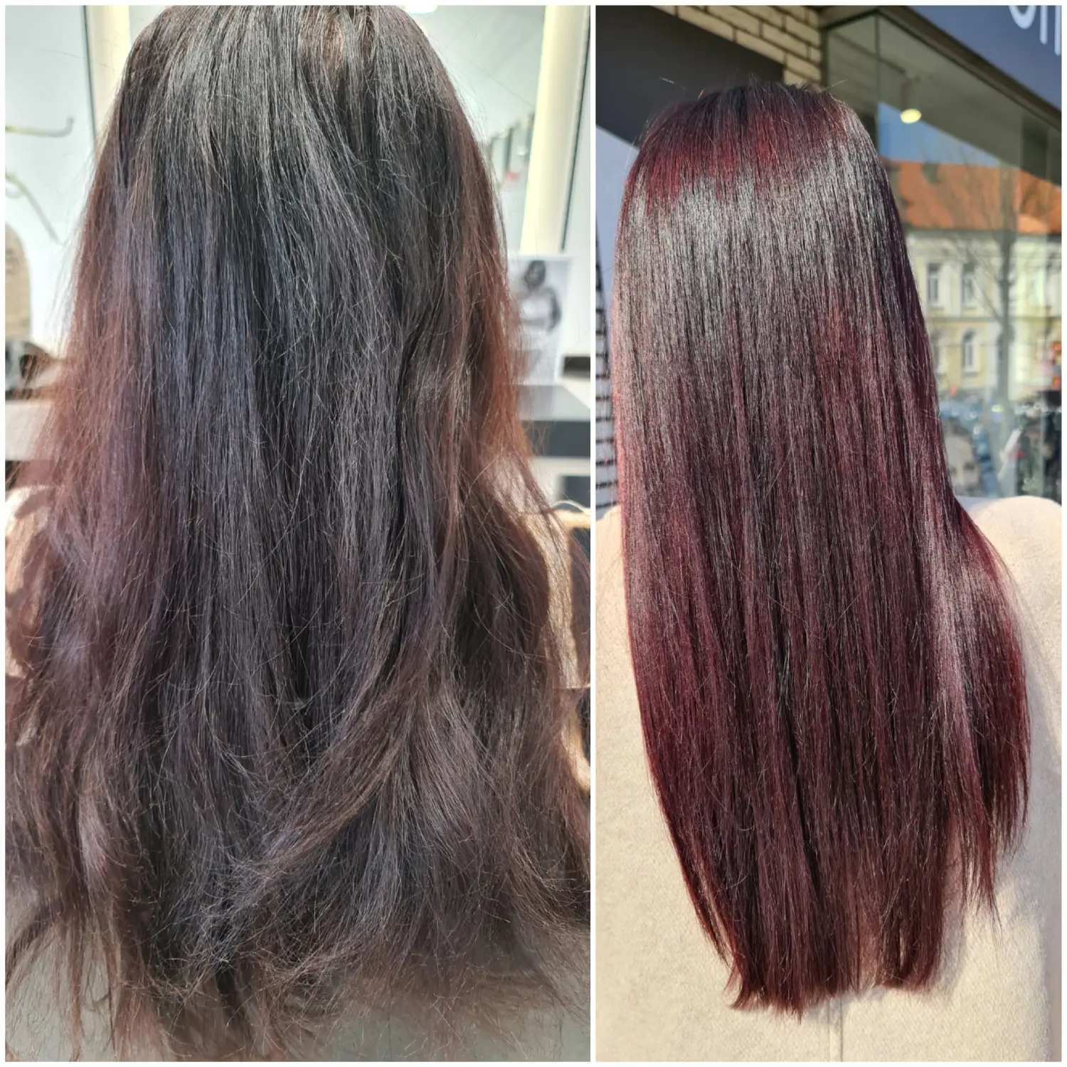 Haarschnitte von Evas Lockenbude